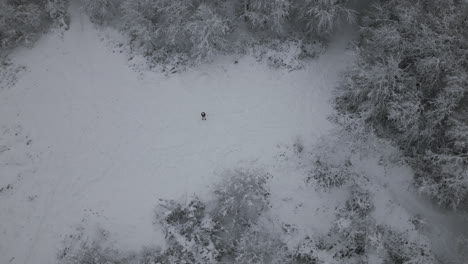 aerial footage of man standing in snow