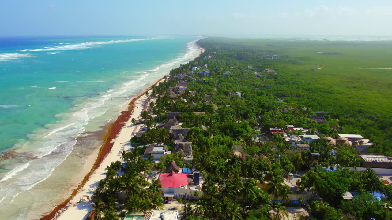 vista aérea de drones de exuberantes palmeras verdes y paisajes naturales cerca de la playa de yucatán en tulum méxico