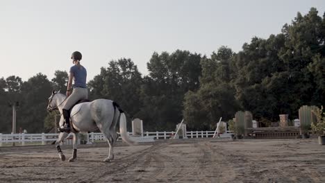 Cámara-Lenta-De-Una-Chica-Montada-En-Un-Caballo-Blanco-De-Espaldas-A-La-Cámara-A-Través-De-Un-Campo-Abierto-Al-Amanecer