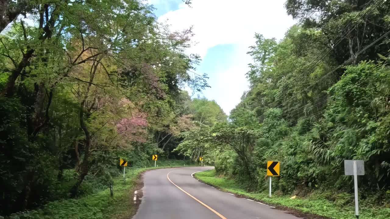 A winding road surrounded by dense greenery and caution signs, showcasing nature's vibrant foliage.