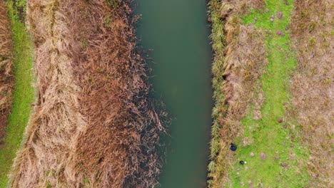 Serene aerial view of Little Ouse River near Nunnery Lake, Barnham Cross Common