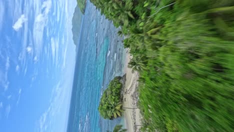 Dynamic-vertical-drone-flight-over-tropical-Palm-tree-plantation-down-to-Caribbean-sea-on-Dominican-Republic-Island