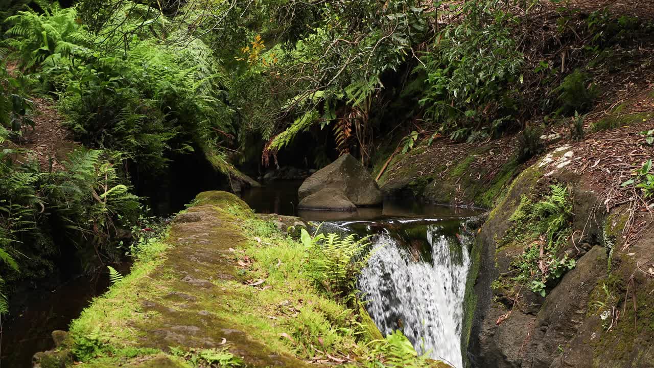 hermosa pequeña cascada forestal en la isla de terceira