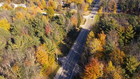 Antena-De-Bosques-Exuberantes-En-Colores-Primarios-Cerca-De-Hoffmaster-En-Muskegon,-Mi