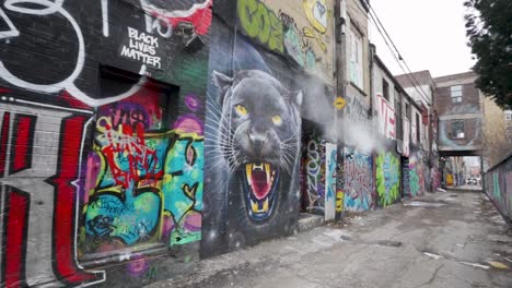 walking in downtown toronto down a back alley with graffiti