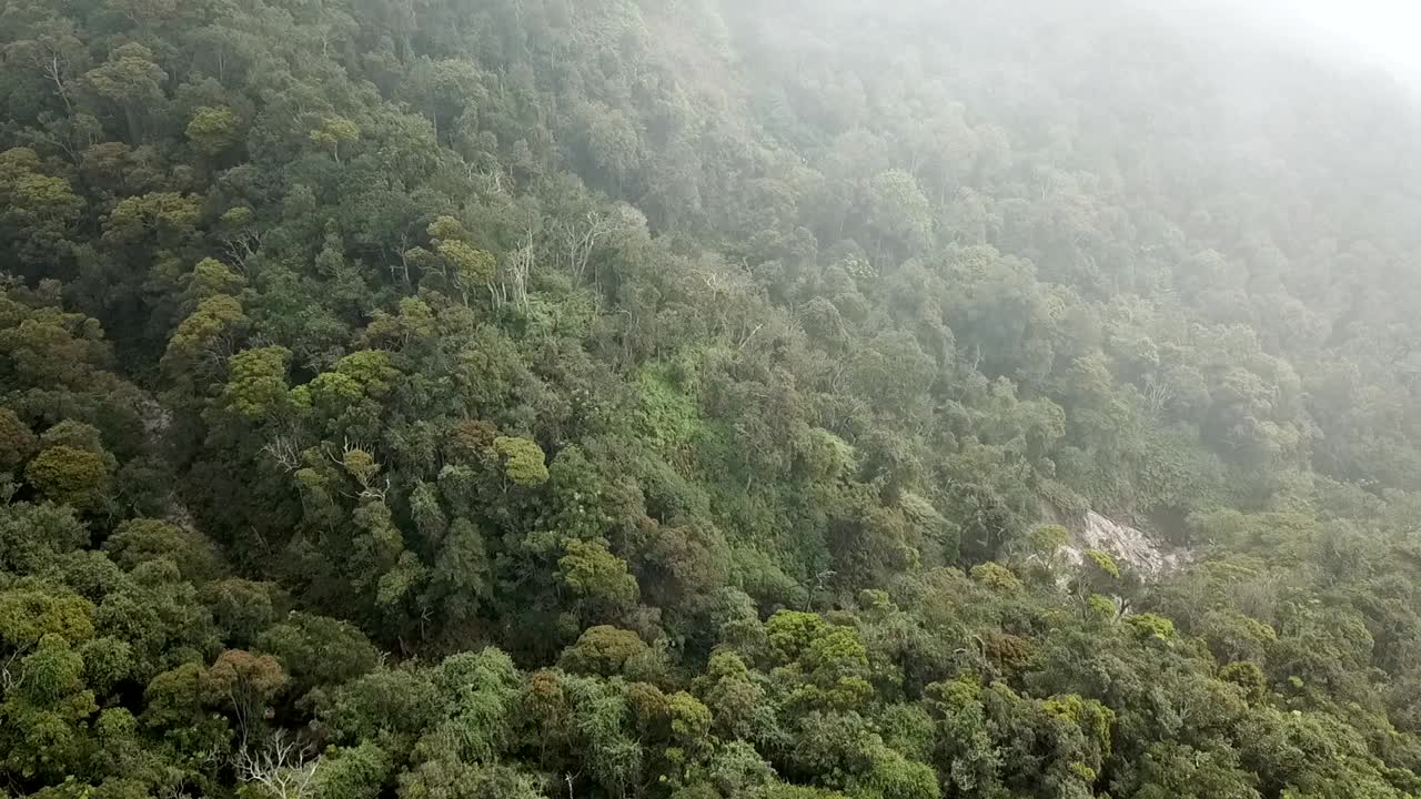drone subiendo a las nubes sobre la selva tropical en java, indonesia