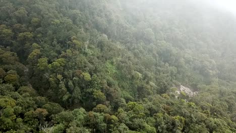 drone rising into the clouds over the rainforest in java, indonesia
