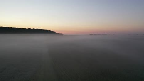 misty sunrise over a cornfield