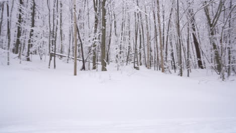 Dolly-pan-shot-in-wonderful-Winter-East-Canadian-Mountain