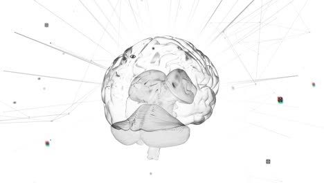 Spinnendes-Gehirn-Vor-Flackernden-Lichtspuren-Auf-Weißem-Hintergrund