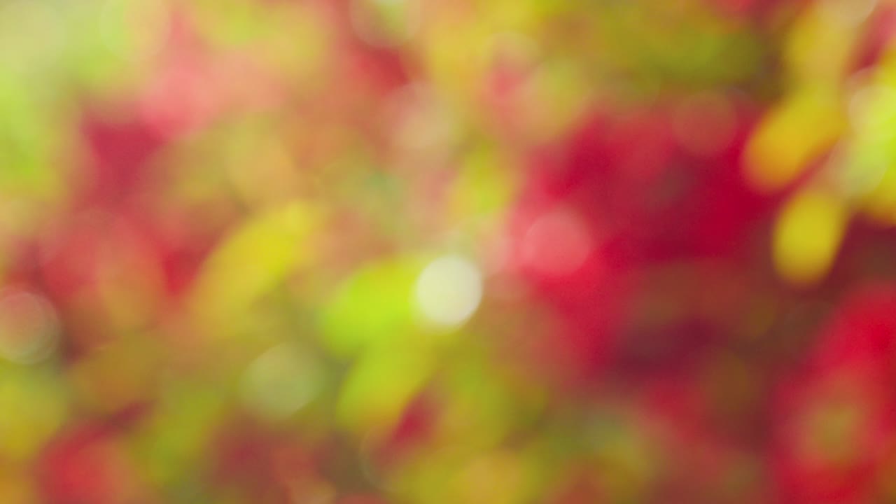 Abstract spring background with bokeh