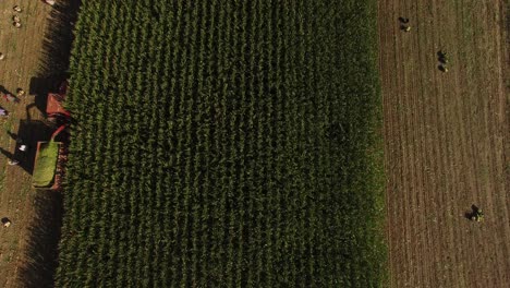 Campo-De-Cultivo-Del-Tractor-En-Springaerial-Vista-Superior