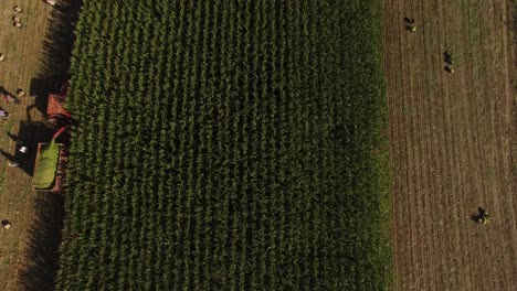 tractor cultivating field at springaerial  top view
