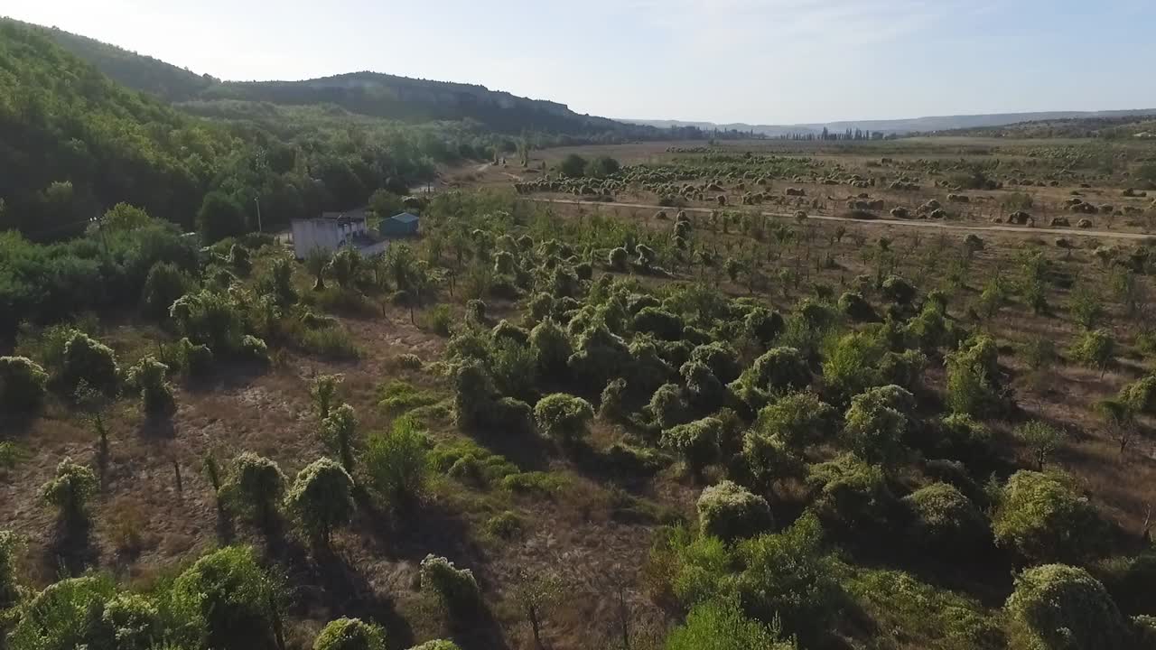 vista aérea del paisaje rural con arbustos y árboles