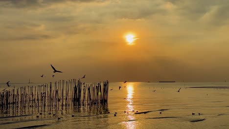 seagulls glide over a serene sea during a golden sunset, with reflections shimmering on the water's surface