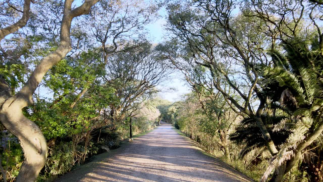 아르헨티나 푸에르토 마데로의 코스타네라 수르 생태 보호 구역에서 아름다운 돌리 샷