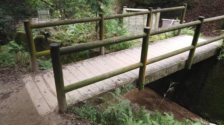 Wooden bridge in lush Japanese forest, man made path exploring nature Mount Daimonji