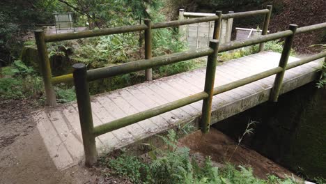 Wooden-bridge-in-lush-Japanese-forest,-man-made-path-exploring-nature-Mount-Daimonji