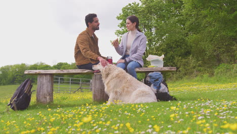 pareja con mascota perro golden retriever a pie en el campo sentarse en un banco y disfrutar de un picnic juntos - filmado en cámara lenta