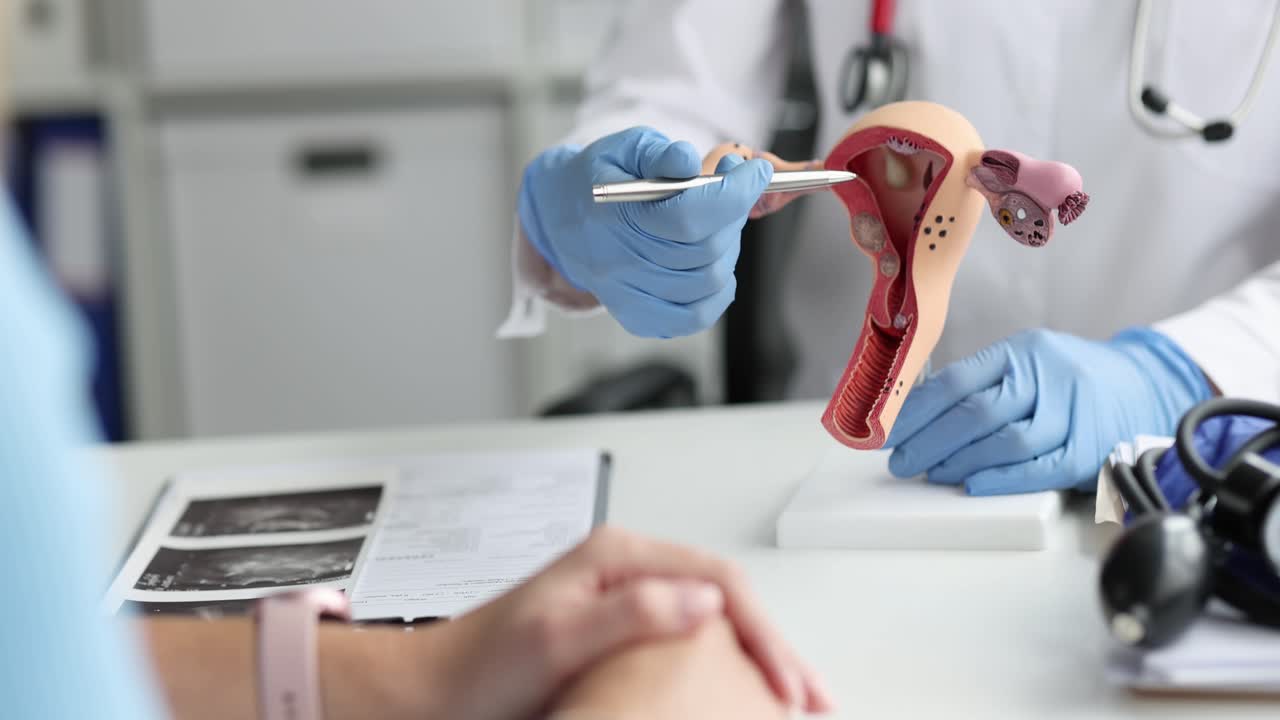 Ginecologo mostra un modello dell'apparato riproduttivo femminile (utero) e consulta una donna