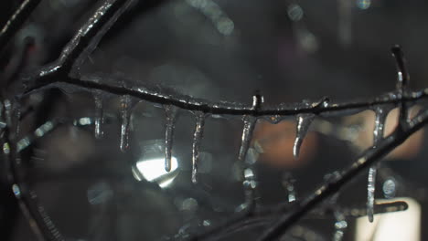 close-up of frosted bare tree branches covered in icicles and snowdrops, with softly glowing light in the background and a blurred building