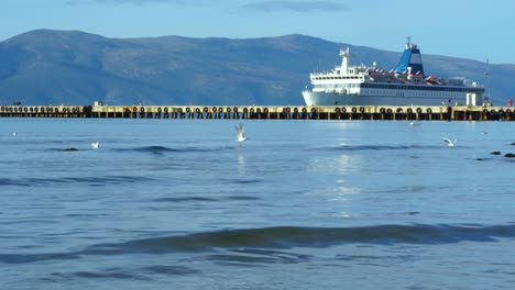 Anchored-ferry-on-harbor-with-mountain-background,-seagulls-swim-on-calm-sea-and-fly-around-city-port-in-Vlora,-Albania