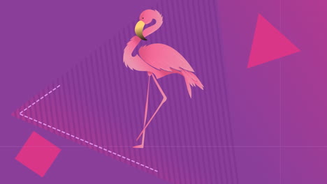 animación de flamenco sobre fondo violeta con formas geométricas