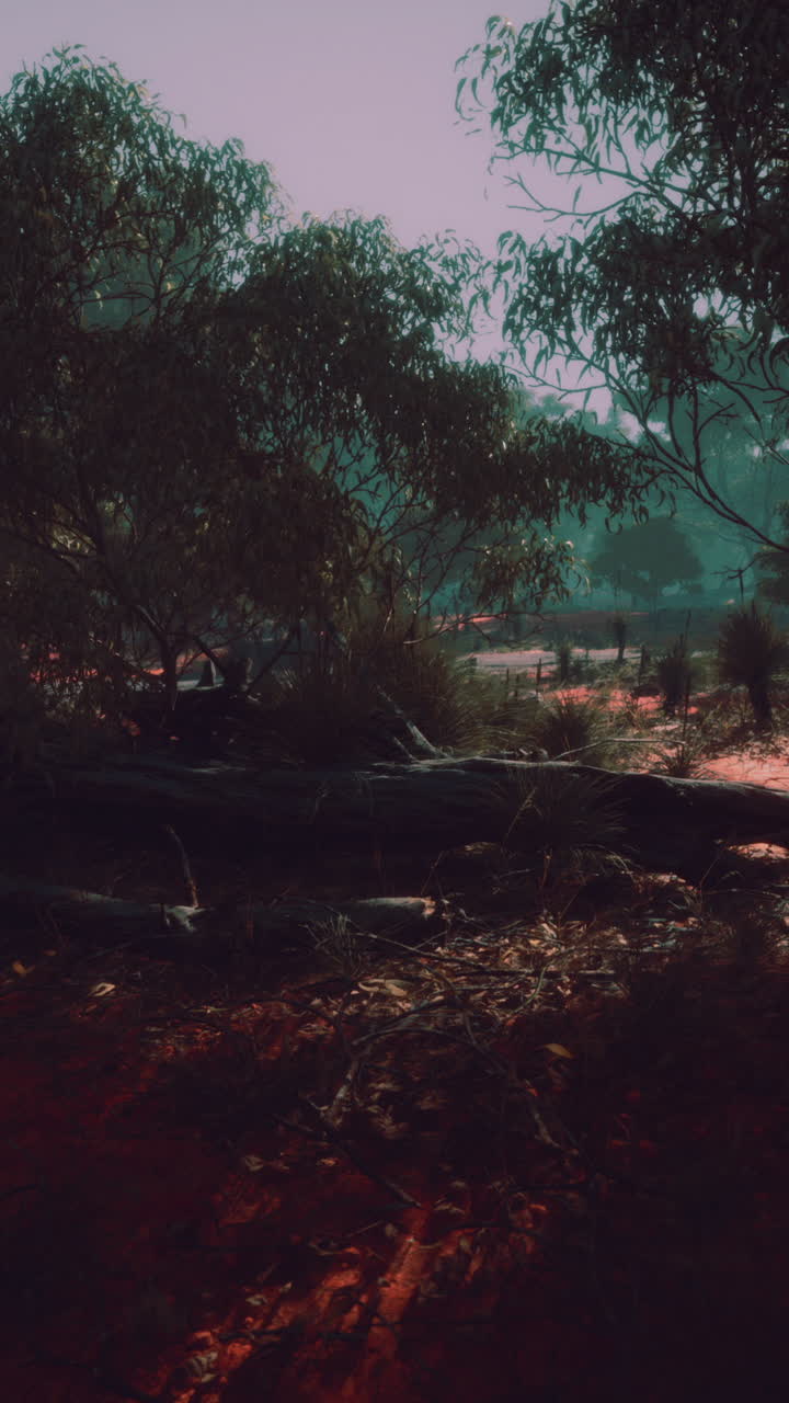 el sereno paisaje del interior de australia