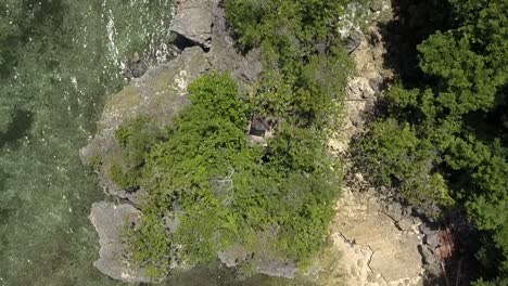 flying overhead a turquoise water beach, waves crushing against the coast line in bali, fantastic big rock with tree