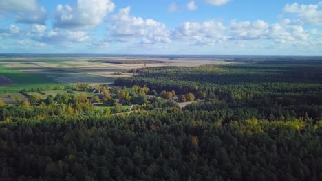 Early-autumn-in-forest,-aerial-top-view,-mixed-forest,-green-conifers,-deciduous-trees-with-yellow-leaves,-fall-colors-woodland,-nordic-forest-landscape,-wide-angle-establishing-shot-moving-forward