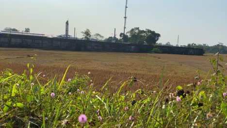 Wide-shot-of-Gas-flare-industry-near-countryside-rural-scenery,-ecology-concept