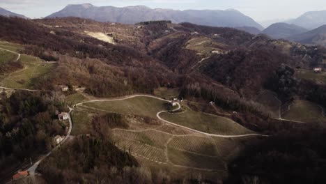 Aerial-panoramic-view-over-vineyard-rows-in-the-prosecco-hills,-Italy,-on-a-winter-day