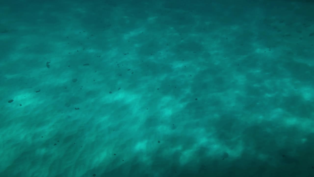 Osservando la luce del sole che si rifrange sul fondale sabbioso prima di partire per esplorare la barriera corallina.