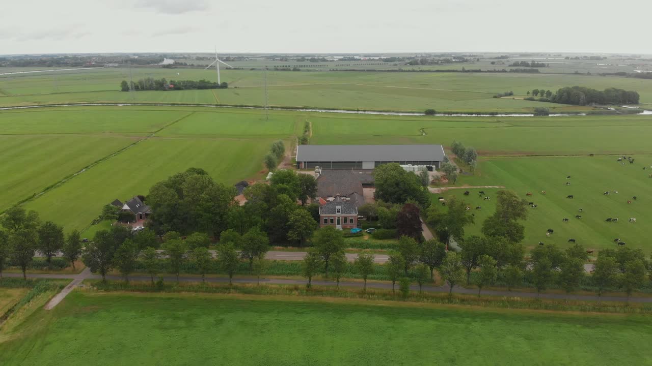 Luftfoto af køer, der græsser fredeligt på eng ved en gård i Joure, Friesland, Holland.