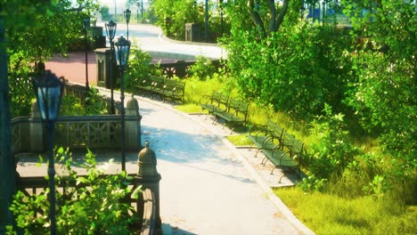 peaceful park in the city