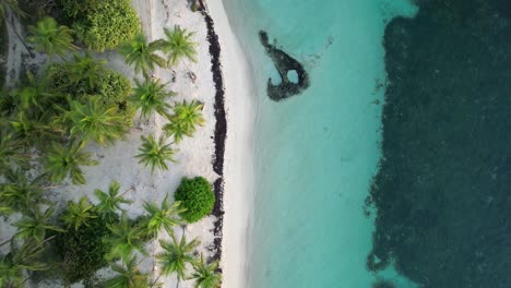 Turquoise-ocean-water-and-pristine-nature-of-Caravelle-Beach-in-Sainte-Anne,-Guadeloupe