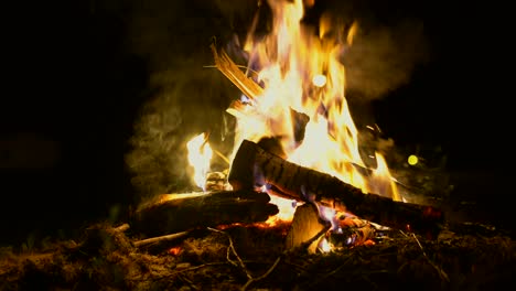 static close up shot of a camp fire at night