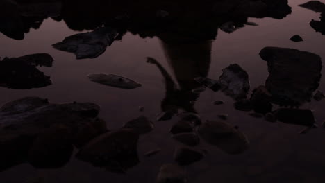 shadow in water of girl dancing at sunset