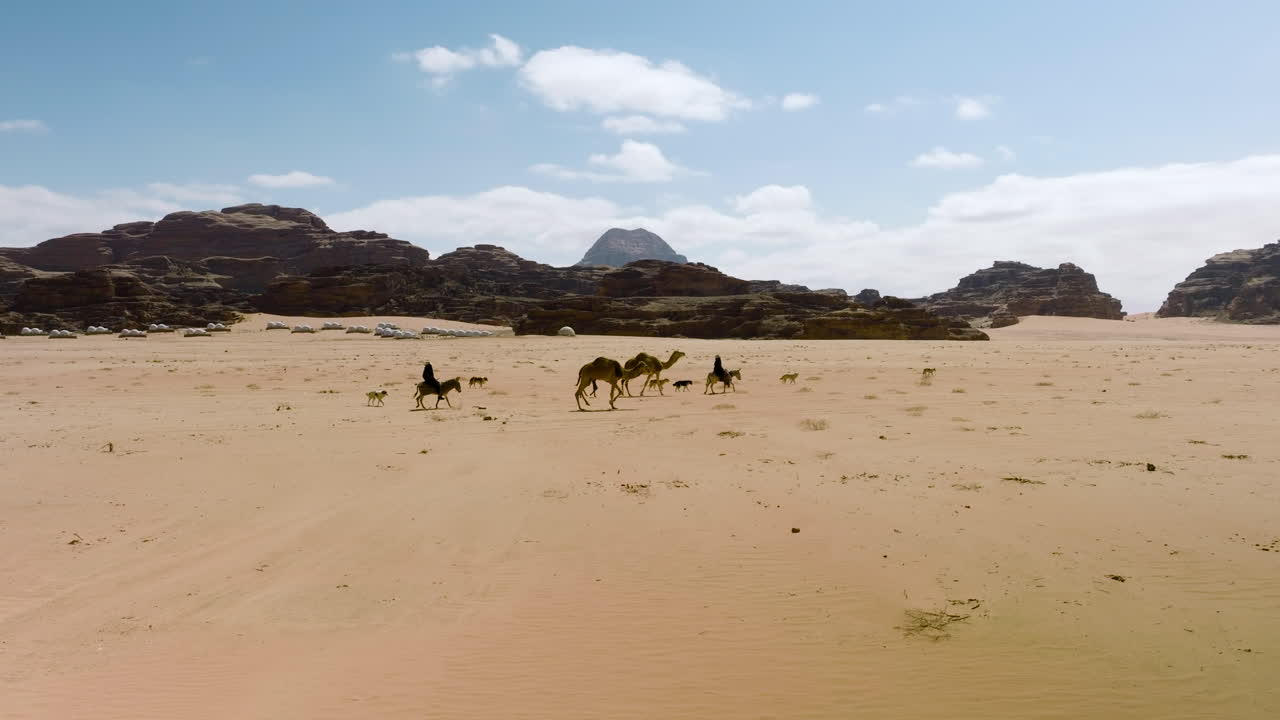 wanderer beduinos montando camellos en el desierto de wadi rum, jordania