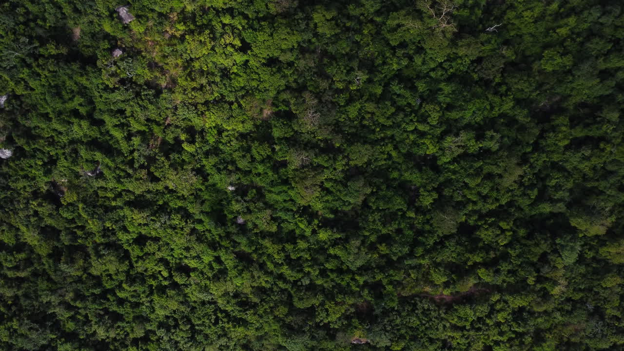 escena exuberante con montañas tropicales