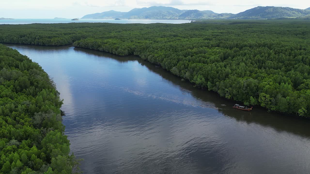 Aerial View of a Boat on a River in a Lush Mangrove Forest