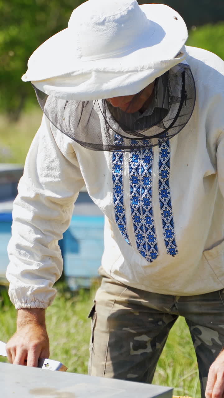 Apiarist near beehives. Beekeeper in protective hat inspecting bees on the apiary among nature. Apiculture concept. Vertical video