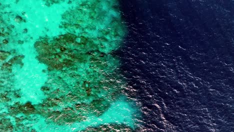 Unberührtes-Blaues-Meer-Und-Lebendige-Korallenriffe-Auf-Den-Philippinen