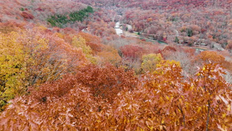 Orange yellow autumnal trees foliage landscape in Devil&#039;s Den State Park, aerial