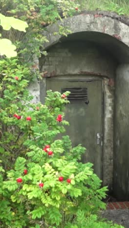 old, weathered metal door in an abandoned structure