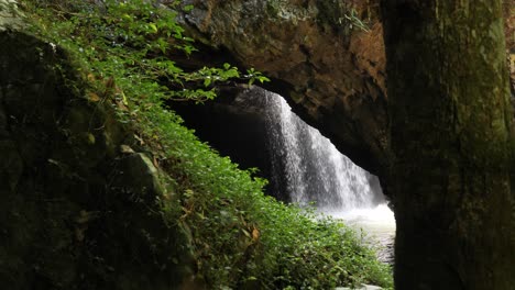 Unique-view-of-a-secret-swimming-hole-with-a-cascading-waterfall-set-in-a-moss-covered-rainforest