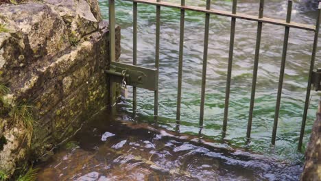 cheddar, somerset, reino unido, sendero del jardín inundado por el río yeo en medio del pueblo de cheddar