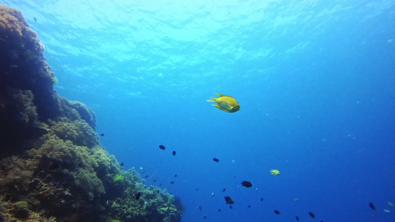 그의 파트너를 찾기 위해