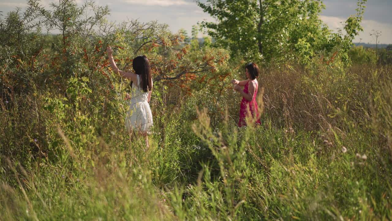 two girls picking berries in meadow, late summer sunlight, tall grass and dense berry bushes, quiet reach and gentle conversation, soft cotton dresses, rustic horizon and warm glow