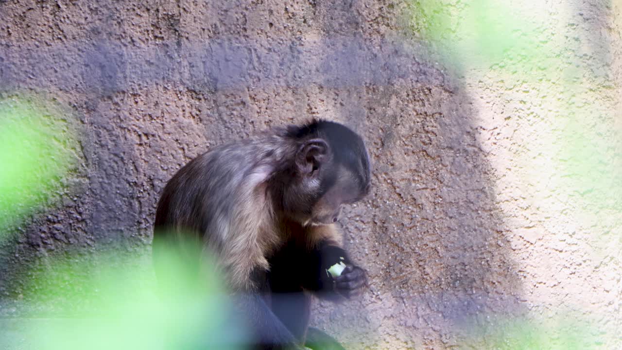 la mejor vista en yokohama